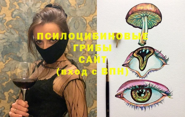 молекула духа Медногорск