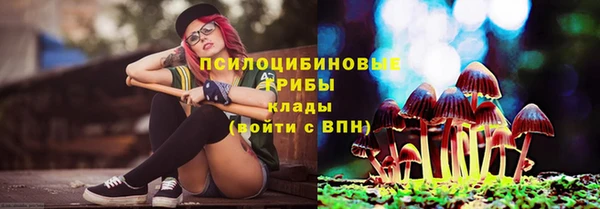 дурь Майский