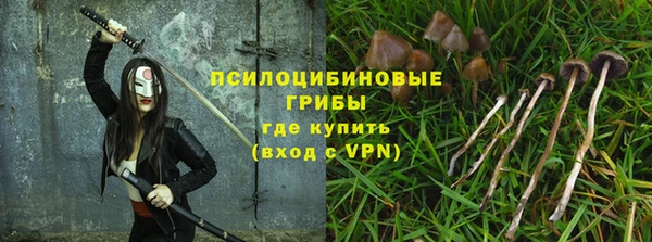 дурь Майский