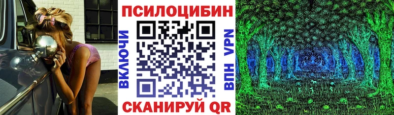 Купить закладки Лакинск Псилоцибиновые грибы MAGIC MUSHROOMS